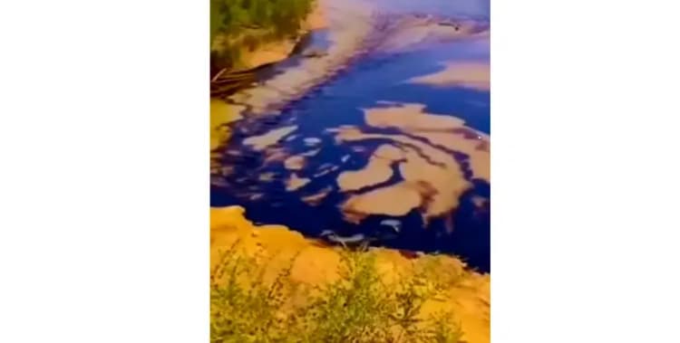 ۲۵۰ هکتار سوخت؛ کهنسال‌ترین درختان جنوب ایران در شعله آتش هماگ خاکستر شدند /  از اورس‌های ۳۰۰ ساله تا گون‌های کهن و مراتع بومی + فیلم