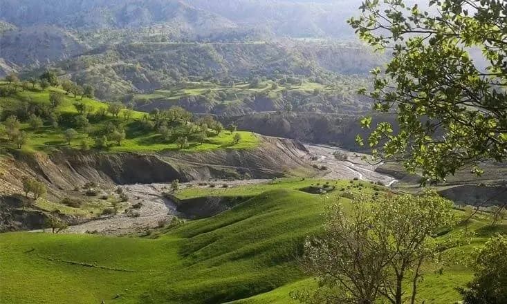 میوه‌ای که سیستم ایمنی بدن را تقویت می‌کند