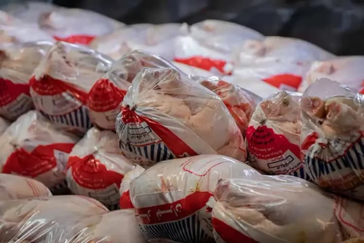 بانوان مازندران پارسال ۱۰۰ مدال ورزشی کسب کردند