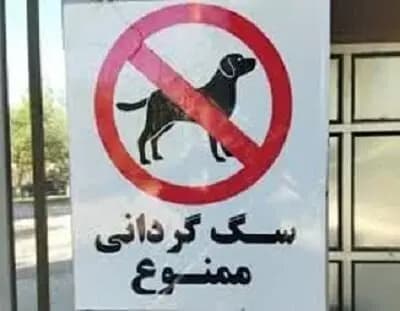 الموسوی: برخی حکام عرب مجری سیاست‌های آمریکا هستند