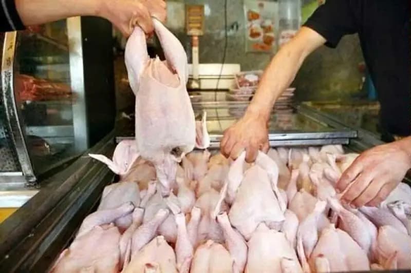 قیمت گوشت مرغ امروز ۱۸ خرداد ۱۴۰۴