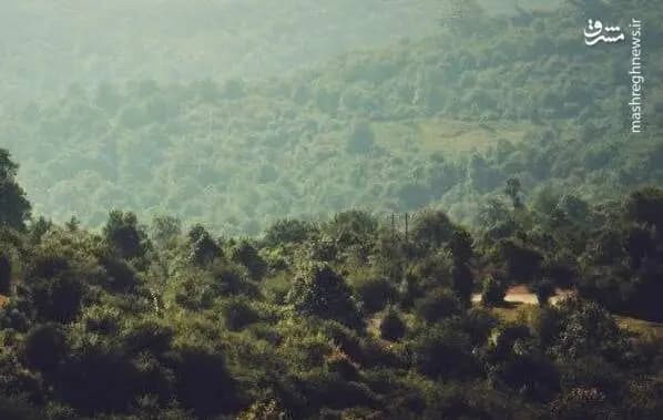 گلستان سعدی؛ آینه تمام نمای هنر، در قلمرو نظم و نثر