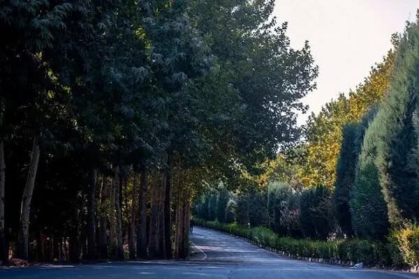 شاخص آلایندگی هوا در «پاسداران» به وضعیت خطرناک رسید