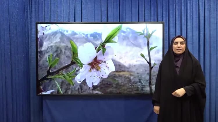 صومعه سرا  به عنوان قطب صنوبرکاری در کشور محسوب می گردد