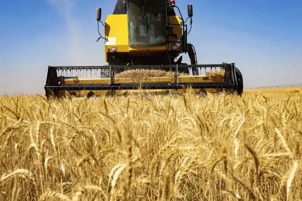 الگوی حکمرانی شهید رئیسی؛ امتداد راه شهید بهشتی و حاج قاسم