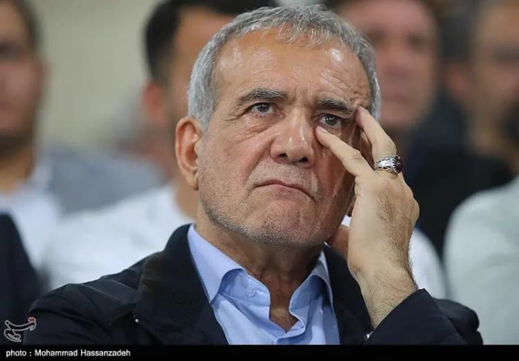 فعالیت ۱۵ مرکز عرضه دام بهداشتی در تهران برای عید قربان
