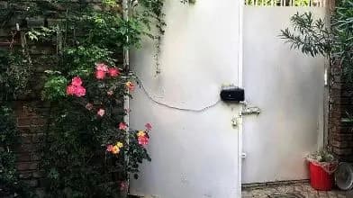 ترند