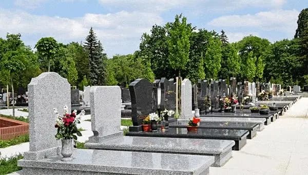 ۷ غذایی که می‌توانند باعث بوی بد بدن شما شوند