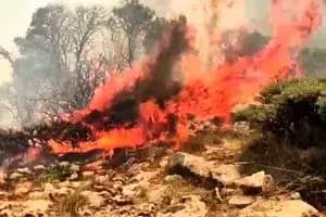 مانور گسترده زلزله «خلیج فارس» در نجف‌شهر سیرجان