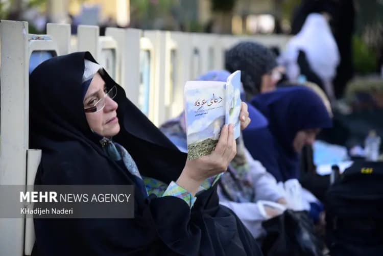 خرید ۵۴ هزارتن کلزا درگلستان؛گام بلند تعاون روستایی برای خودکفایی روغن