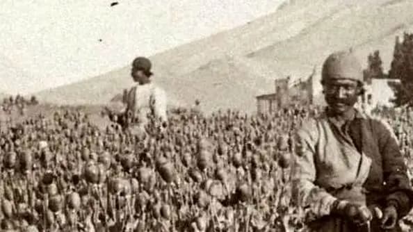 ترند