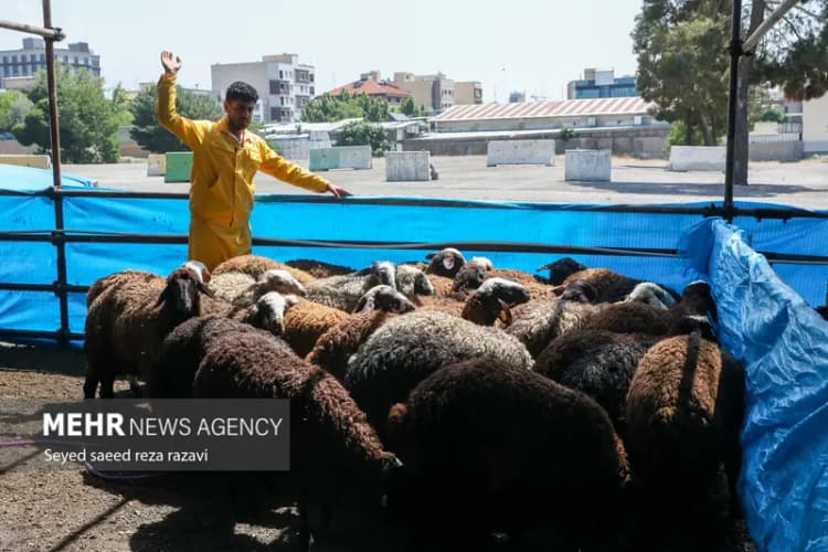 برق مشترکان پرمصرف‌ البرزی محدود می‌شود