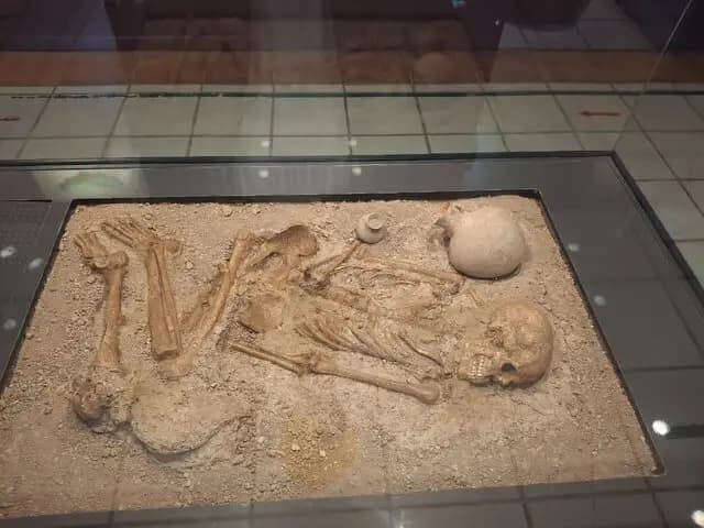 ترند