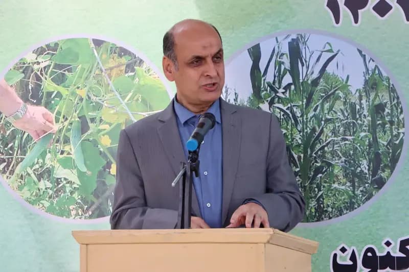 ترند