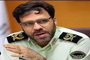 الزام تدوین دستورالعمل کارشناسی برای اجرای قانون منع سگ گردانی