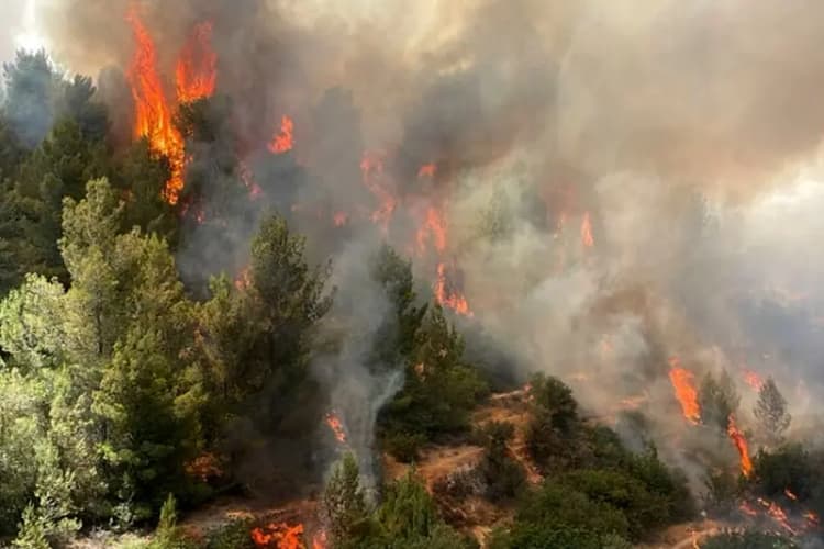 نمایندگان مجلس چهارشنبه به دیدار رهبر انقلاب می‌روند