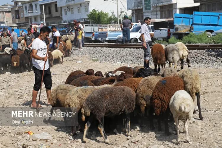 ثبت 13 میلیون تردد خودرو در جاده‌های ایلام