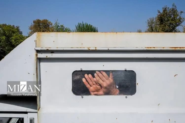 ترند