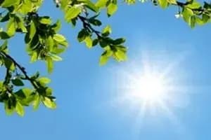 پیوند هشت زوج جوان در مراسم ازدواج آسان ورامین