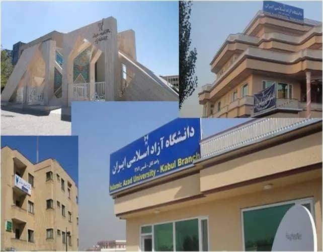 سخنی با مجنون!