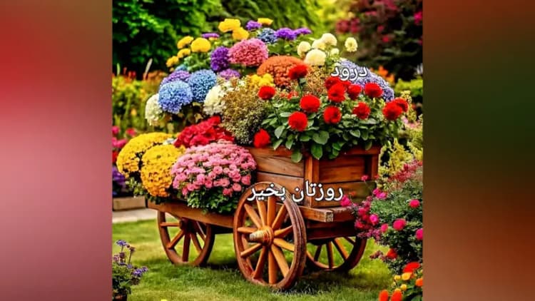 ترند