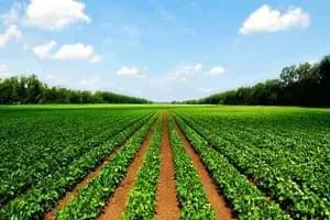 چه کسانی واگذاری سهام شرکت‌های خودروسازی را برنمی‌تابند؟