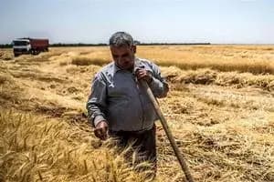 کاهش ۰.۵ درصدی نرخ بیکاری در کشور