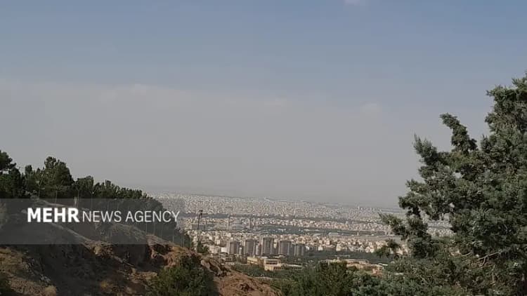 ترند