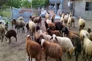 یک معدن زغال سنگ تعطیل شد 