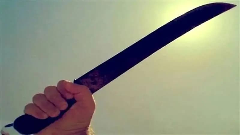 فیلم/ قمه کشی اراذل و اوباش در باغ‌آذری