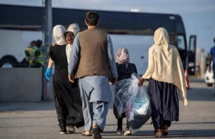 دبیر شورای سالمندان: زنان، ۶۰ درصد سالمندان کشور را تشکیل می‌دهند