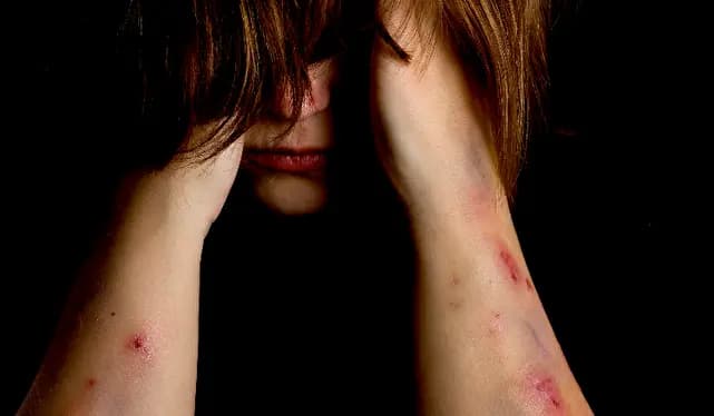 شرایط بورسیه در رشته‌های ارشد چگونه است؟
