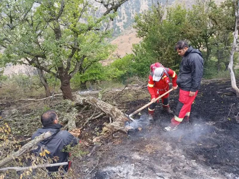 بازگشت آتش‌نشانان بجنورد به پارک ملی گلستان برای تکمیل عملیات لکه‌گیری