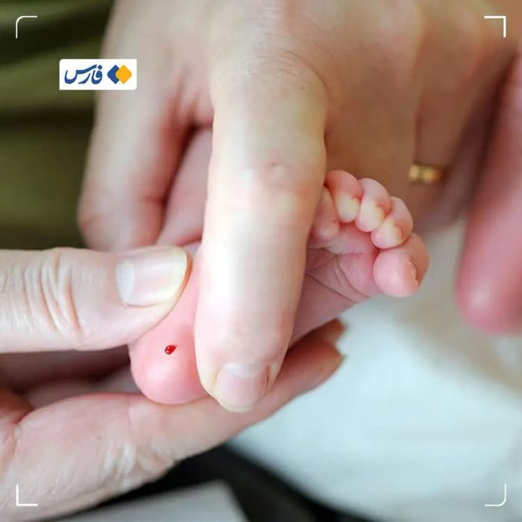 تهیه خوراک عدس و اسفناج؛ بمب آهن و انرژی!
