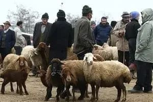 دستگیری ۱۳۹ نفردر عملیات علیه قاچاق سلاح و اخلالگران نظم در خوزستان