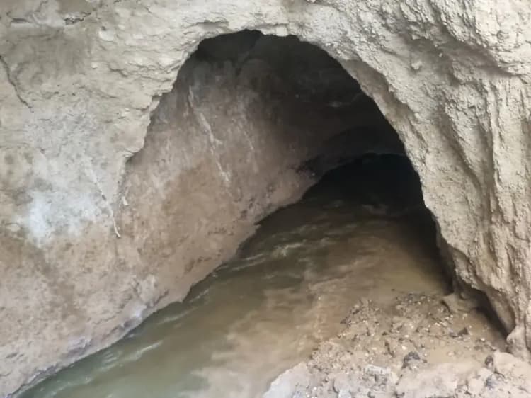توقیف محموله داروی های غیر مجاز در مرزهای سیستان و بلوچستان