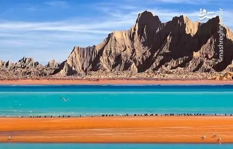 ترند