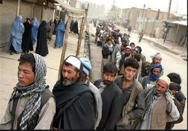 ملاقات بامزه یک کبوتر از پیرمردی در بیمارستان