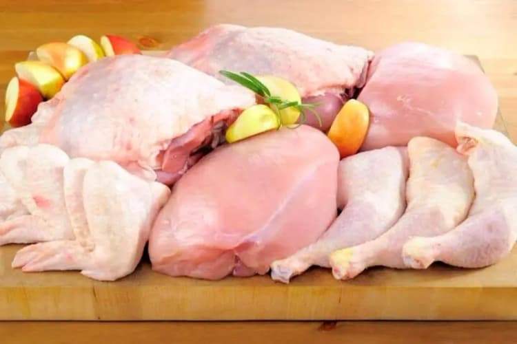 گزینه وزارت اقتصاد از شیکاگو تا شریف