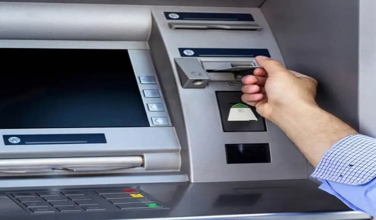 قیمت دام زنده امروز یکشنبه ۴ خرداد ۱۴۰۴