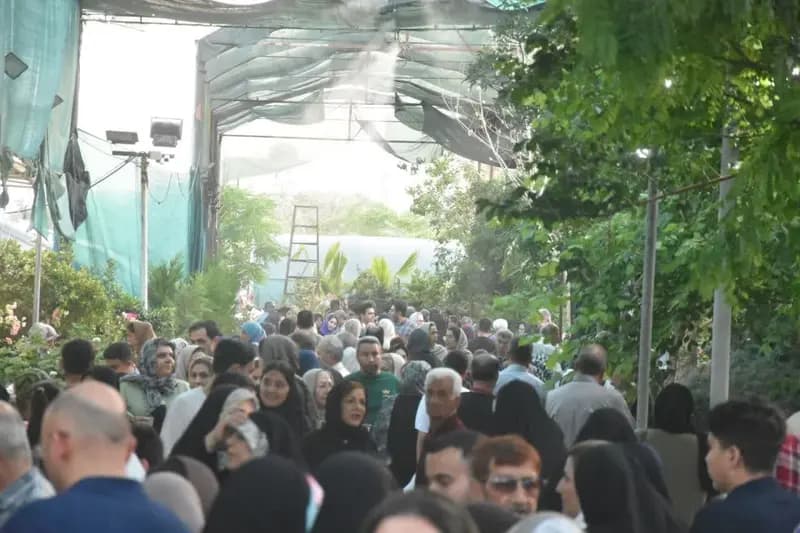 ترند