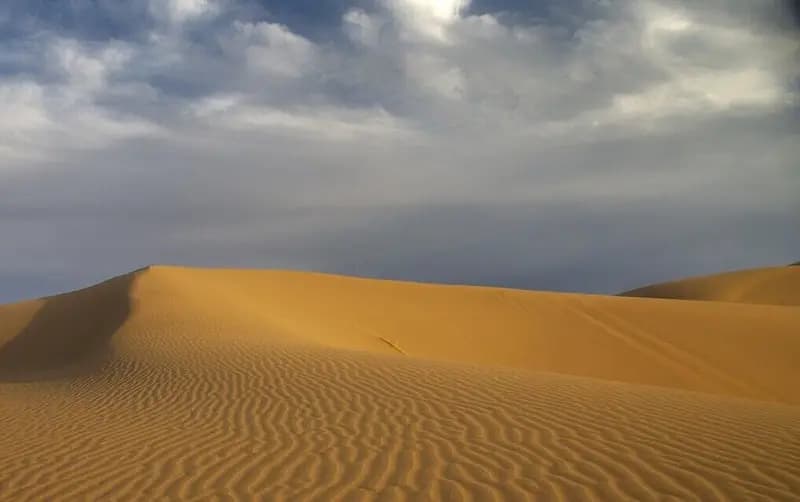 ترند