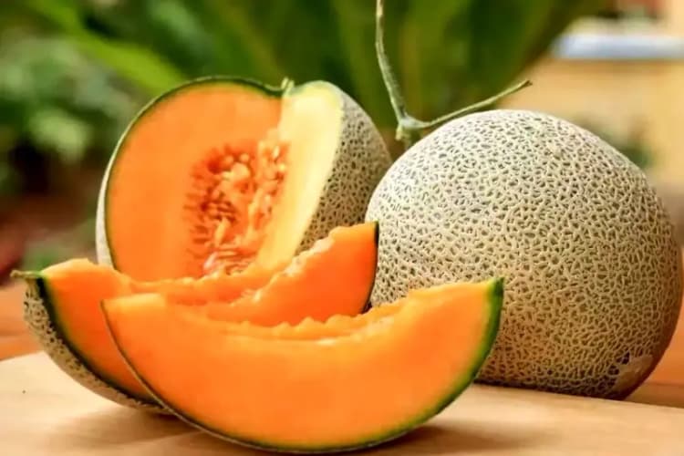 جزئیات تازه از ماجرای خودکشی تتلو در زندان