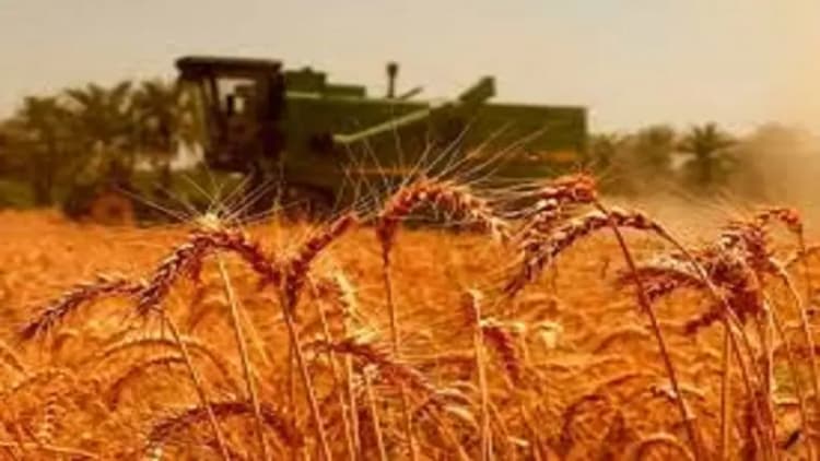 ارتقای سطح پایداری جرثقیل‌ها برای ثبت رکوردهای جدید در فولاد هرمزگان