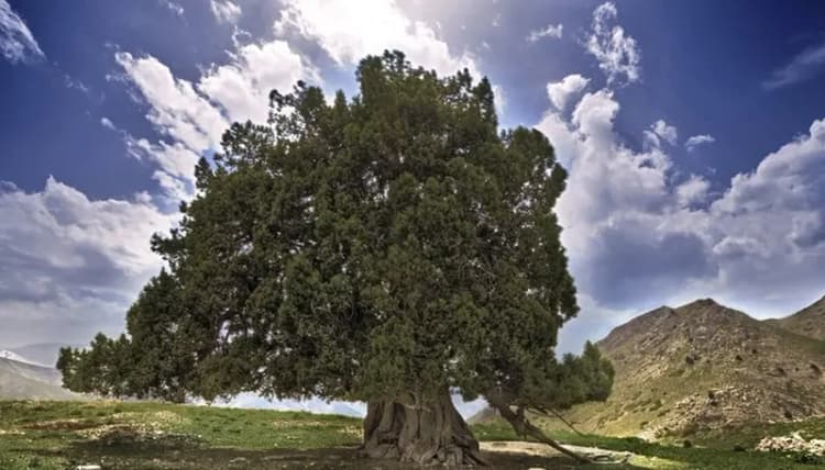 وضعیت آلودگی هوای خراسان رضوی و مشهد؛ دوشنبه 19 خرداد ۱۴۰۴