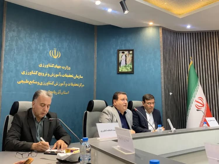 برداشت ۶۰درصد گندم مزارع ورامین؛عملکرد برداشت کاهش داشته است