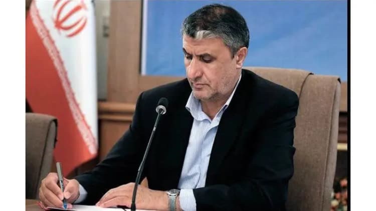 اتباع خارجی مجاز داخل کشور مشکلی برای تردد در مراسم اربعین ندارند