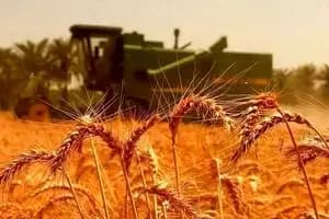برنامه قطع برق چهارمحال و بختیاری و شهرکرد امروز دوشنبه ۵ خرداد