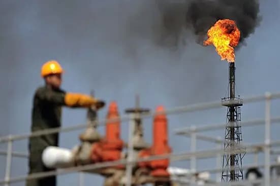 قهوه روبوستا بهتر است یا عربیکا؟