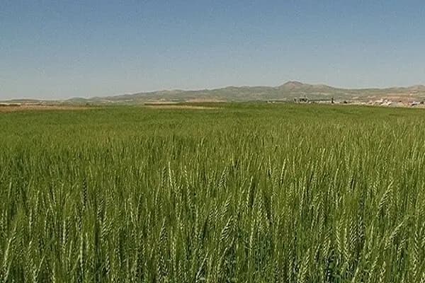 افزایش ترافیک در محورهای خروجی گیلان؛ مسافران برگشت خود را مدیریت کنند